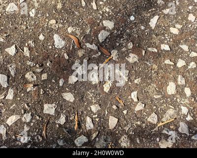 Background  of gravel and soil seen from above Stock Photo