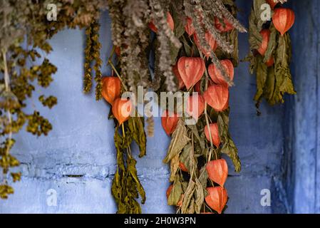 Drying herbs in an old wooden house. Dry plants hanging on the wall. Stock Photo
