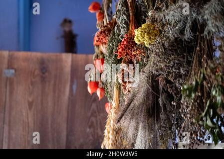 Drying herbs in an old wooden house. Dry plants hanging on the wall. Stock Photo