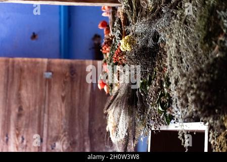 Drying herbs in an old wooden house. Dry plants hanging on the wall. Stock Photo