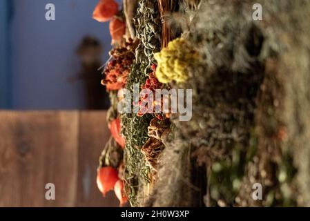 Drying herbs in an old wooden house. Dry plants hanging on the wall. Stock Photo