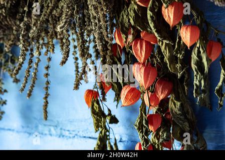 Drying herbs in an old wooden house. Dry plants hanging on the wall. Stock Photo