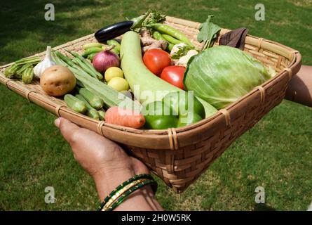 Female holding serving and Celebrating National Nutrition week observed in september. Farm fresh Organic mix vegetables. Variety of indian desi vegeta Stock Photo