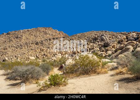 Boulders and rocks on a hill in the Mojave Desert Stock Photo