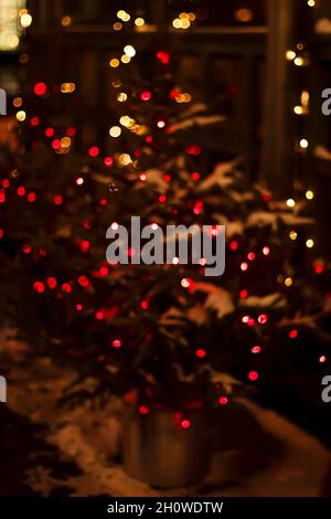 Bokeh, blurry, texture. Festive Christmas tree decorated with luminous lights of garlands. Illumination at night on the street. Christmas decoration Stock Photo
