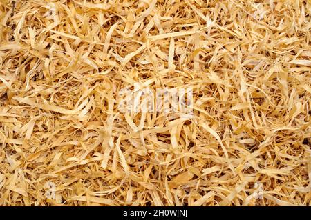 Texture of freshly grated wood sawdust, thin, long and flexible of fresh wood. Stock Photo