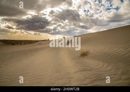 Dune under moody clouds and light.  Shot in the Christmas Valley Dunes in the central Oregon desert. Stock Photo