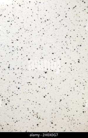 white stone marbled background with small black dots. Smooth and marble texture. Stock Photo