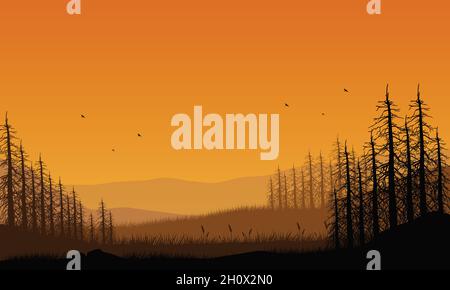 A magnificent mountain view with an aesthetic silhouette of pine trees ...