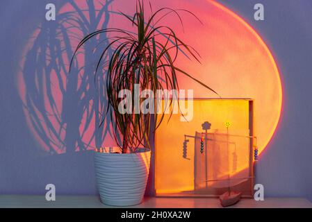 Directed spotlight beam illuminates plant against grey wall Stock Photo