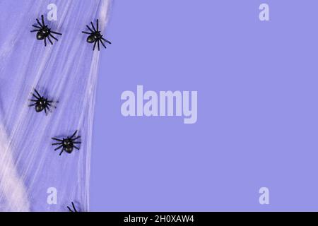 Spider webs and plastic spiders on side of purple Halloween background with copy space Stock Photo