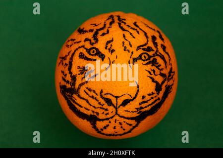 Tiger drawing on an orange fruit, on green background. Chinese new year, 2022 concept Stock Photo