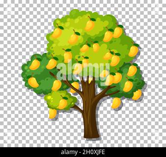 Mango tree on transparent background illustration Stock Vector