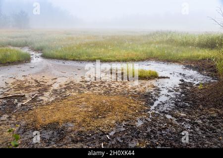 narodni prirodni rezervace Geopark SOOS, Karlovarsky kraj, Ceska republika / national natural reserve SOOS, Western Bohemia, Czech republic Stock Photo