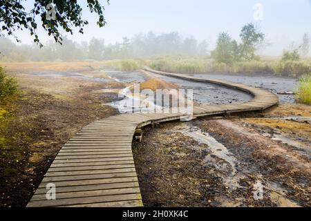 narodni prirodni rezervace Geopark SOOS, Karlovarsky kraj, Ceska republika / national natural reserve SOOS, Western Bohemia, Czech republic Stock Photo