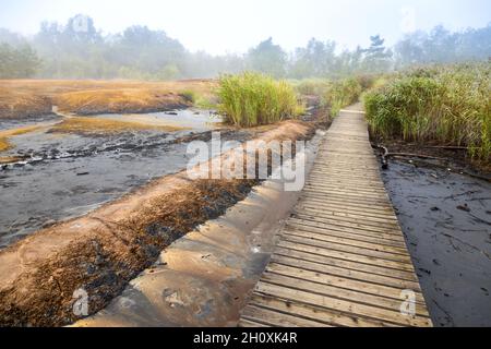 narodni prirodni rezervace Geopark SOOS, Karlovarsky kraj, Ceska republika / national natural reserve SOOS, Western Bohemia, Czech republic Stock Photo