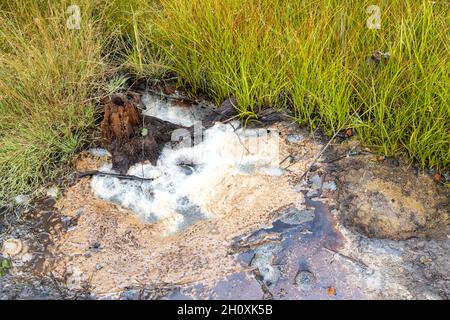 narodni prirodni rezervace Geopark SOOS, Karlovarsky kraj, Ceska republika / national natural reserve SOOS, Western Bohemia, Czech republic Stock Photo