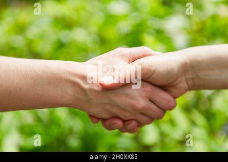 Two people shaking hands or shaking hands in the green nature Stock Photo
