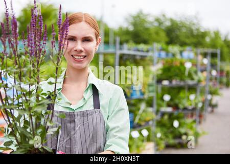 Young woman as a gardener apprentice with lavender plant in plant nursery or garden center Stock Photo