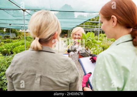 Three women as a nursery team doing an inventory in the greenhouse of the nursery Stock Photo