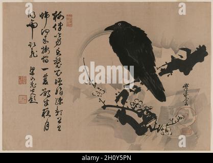 Full Moon with Crow on Plum Branch, 1880s. Kawanabe Kyōsai (Japanese, 1831-1889). Color woodblock print; overall: 37.5 x 52.1 cm (14 3/4 x 20 1/2 in.).  The accompanying poem may be translated as: The plum accompanies their squawking forms; Its fragrance assaults their feathers. Beautiful shadows of the branches in the moonlight Climb toward the study curtain. The pair of crows that have lodged in my house Cry and make to fly a way, Under the bright moon in the depths of the night. Stock Photo