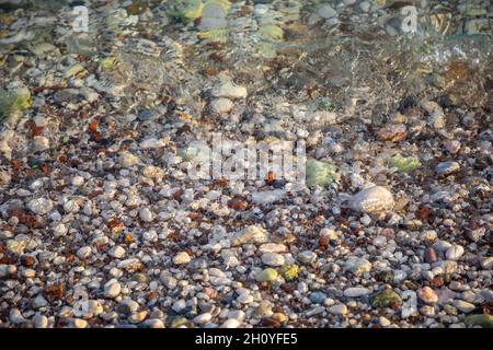 Background of wet stones on a beach surface near water  Stock Photo