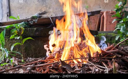 Burning dry leaves in the yard. big fire. Stock Photo