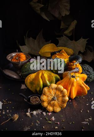 various types of ornamental pumpkins on dark background Stock Photo
