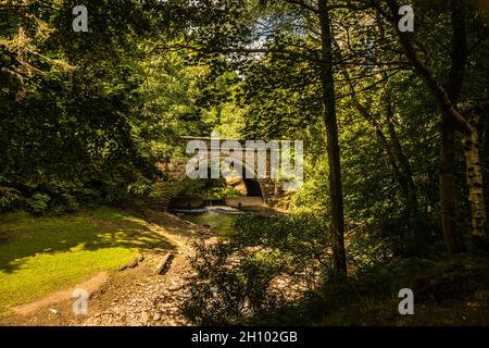 walk in the wild Raymond Boswell Stock Photo