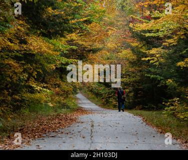 An old man with a camera walking on an old road in the Adirondack Mountains, NY in autumn with colorful fall leaves Stock Photo
