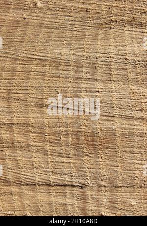 light wood with interesting grain Stock Photo