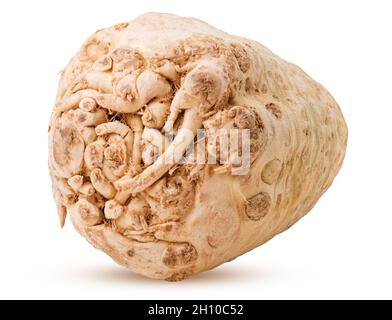 Fresh celery root isolated on white background. Clipping Path. Full depth of field. Stock Photo