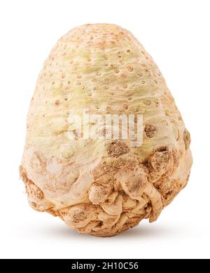 Fresh celery root isolated on white background. Clipping Path. Full depth of field. Stock Photo