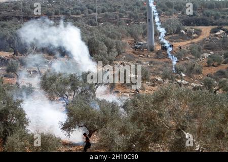 Nablus, Palestine. 15th Oct, 2021. Palestinian farmers seen running away from the tear gas fired by the Israeli army during the olive harvest season. The Israeli army fired tear gas at Palestinian farmers near the outpost of Evitar while they were picking olives in the village of Beita, south of Nablus in the West Bank. Credit: SOPA Images Limited/Alamy Live News Stock Photo