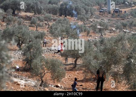 Nablus, Palestine. 15th Oct, 2021. Palestinian farmers seen running away from the tear gas fired by the Israeli army during the olive harvest season. The Israeli army fired tear gas at Palestinian farmers near the outpost of Evitar while they were picking olives in the village of Beita, south of Nablus in the West Bank. Credit: SOPA Images Limited/Alamy Live News Stock Photo