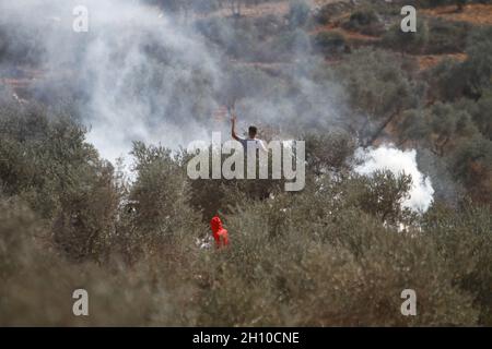 Nablus, Palestine. 15th Oct, 2021. Palestinian farmers seen running away from the tear gas fired by the Israeli army during the olive harvest season. The Israeli army fired tear gas at Palestinian farmers near the outpost of Evitar while they were picking olives in the village of Beita, south of Nablus in the West Bank. (Photo by Nasser Ishtayeh/SOPA Images/Sipa USA) Credit: Sipa USA/Alamy Live News Stock Photo