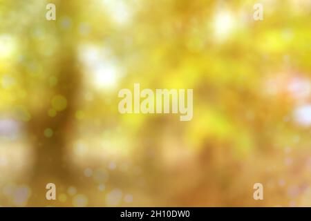 Autumn foliage on trees over sun light in garden or park. Blurred fall nature background Stock Photo