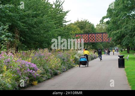 Burgess Park, Peckham, London, UK. A cyclist with children's bike trailer  uses the path following the old Surrey Canal route. Stock Photo
