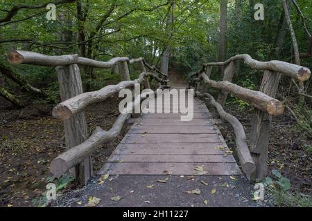 Eco Friendly Wooden Bridge Stock Photo