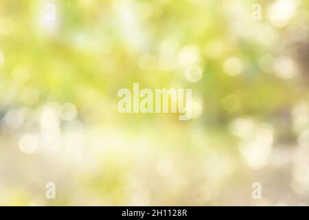 Autumn season bokeh background. Vibrant and Vivid color nature. Stock Photo