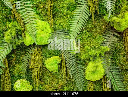 Full Frame Background of Fresh Decorative Green Plants Wall Stock Photo