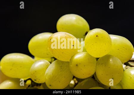 Fresh green grape. Fruit and fruits. Healthy kitchen. Food photography. Stock Photo