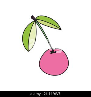 Vector illustration of cherry or sweet cherry in doodle style. Stock Vector
