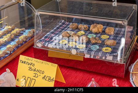 Alba, Cuneo, Piedmont, Italy - October 12, 2021: White truffles displayed for sale at the Alba truffle fair (Fiera del Tartufo di Alba) Stock Photo