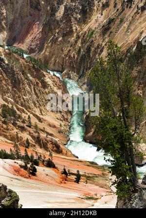 Yellowstone River flows through Grand Canyon of the Yellowstone, Yellowstone National Park, Wyoming Stock Photo