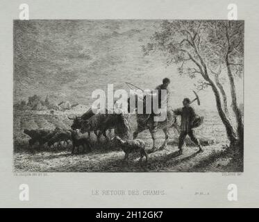 Return from the Fields, 1865. Charles-Émile Jacque (French, 1813-1894). Etching; Stock Photo