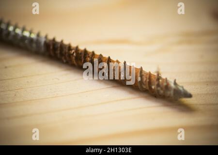 Close up shot of a used rusty wood screw. Stock Photo