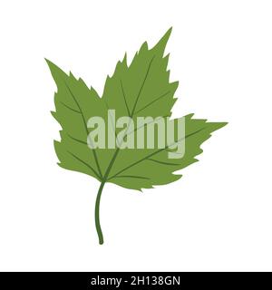 Maple tree leaf clip art Stock Vector
