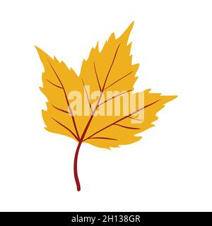 Yellow Maple tree leaf clip art Stock Vector