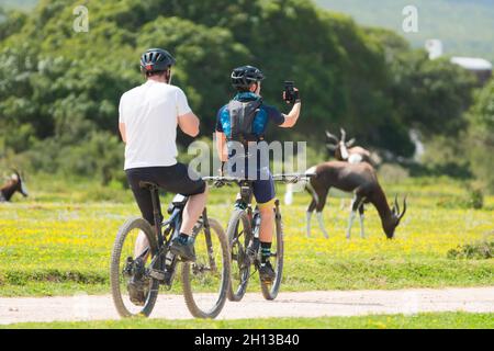 two young cyclists on mountain bikes cycling through wildlife in a nature reserve in the Western Cape, South Africa one is taking a selfie Stock Photo